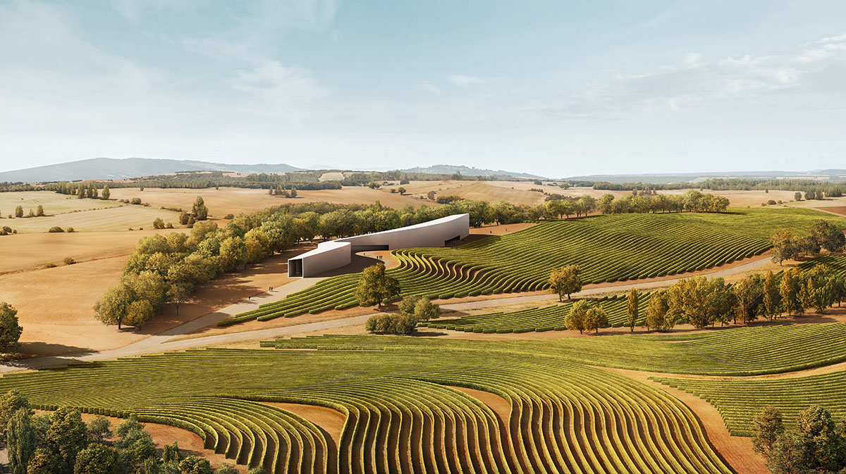 Fran Silvestre Arquitectos designs a winery with curvacious form adressing winemaking process