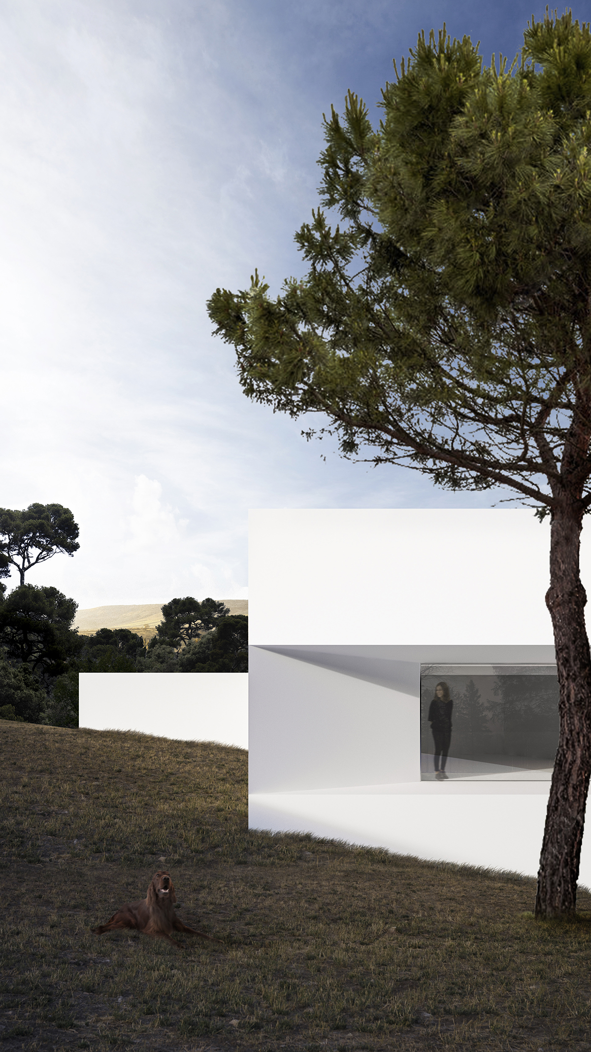 洋書 Fran Silvestre Architects 洋書 Fran Silvestre Architects Projects - Arquitectos Valencia