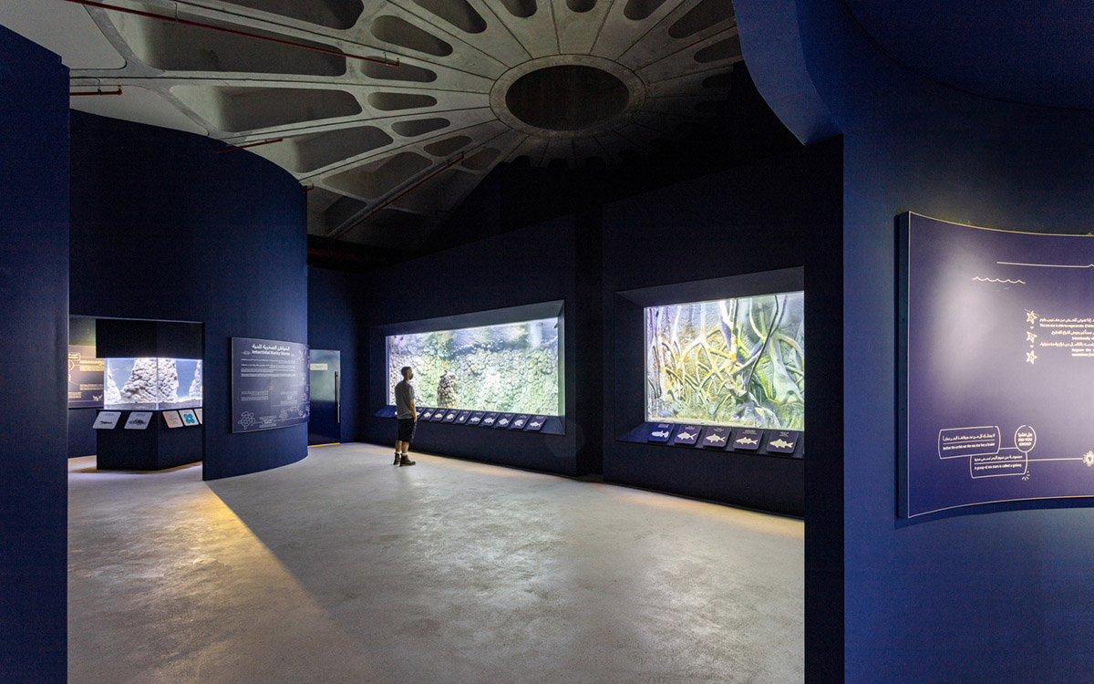 Hopkins Architects created seven interconnected pods for Turtle Sanctuary in Sharjah