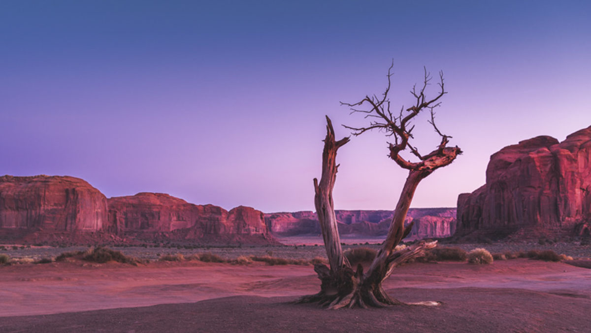 Call for registrations to design luxury oasis on Saudi Arabia desert