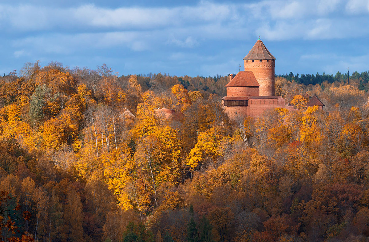Call for registrations to Bee Breeders' Gauja National Park Footbridge competition