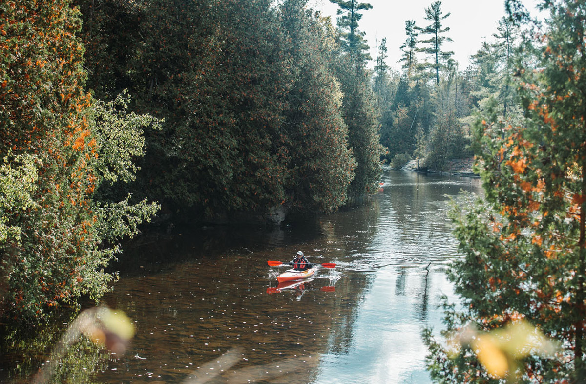 Call for registrations to Bee Breeders' Gauja National Park Footbridge competition