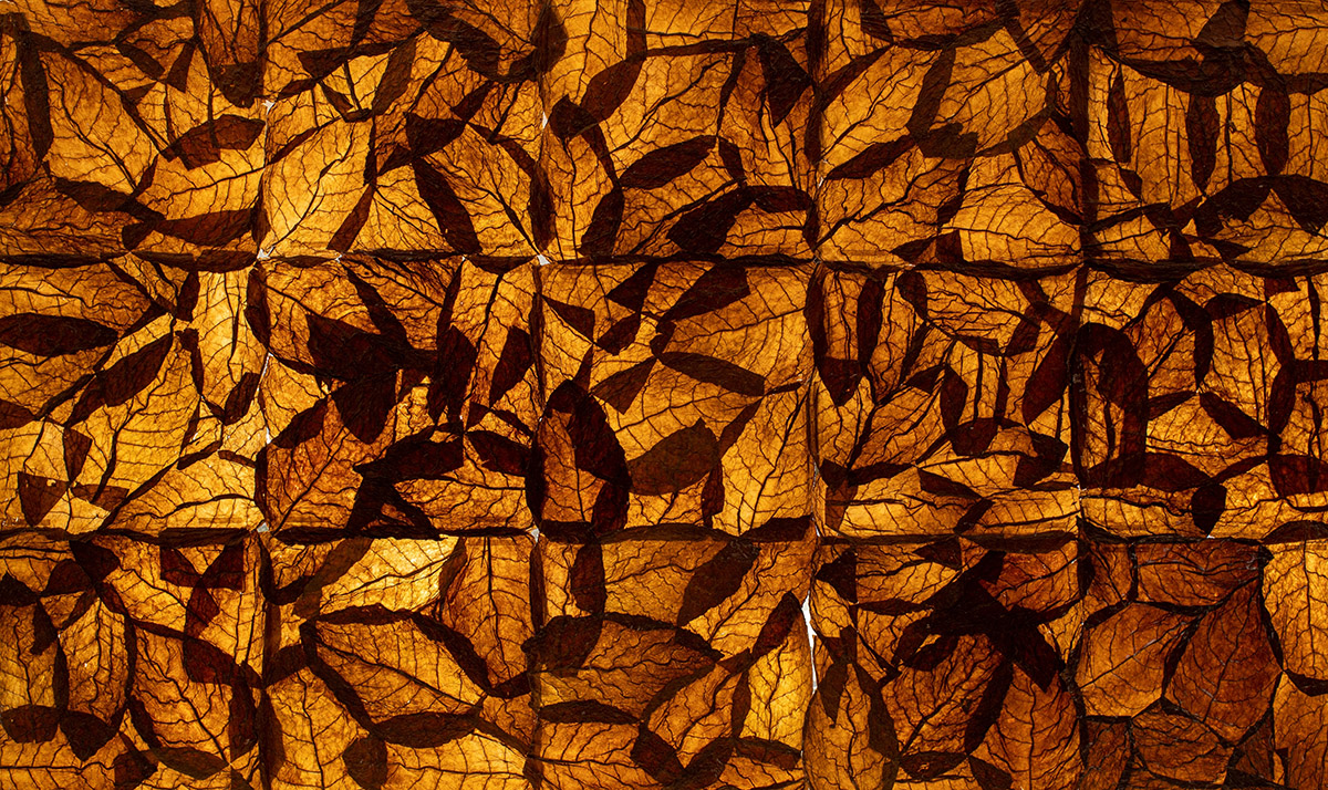 Dominican Republic Pavilion to present CONEXIÓN at Venice Architecture Biennale