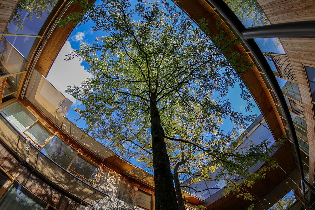 Herzog & de Meuron completes extension of REHAB clinic in Basel