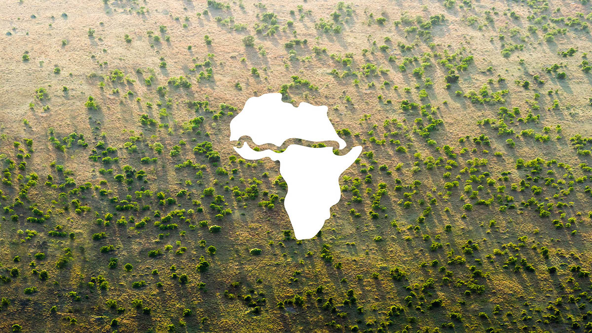 Africa plans 8,000-km-long Great Green Wall that will be 