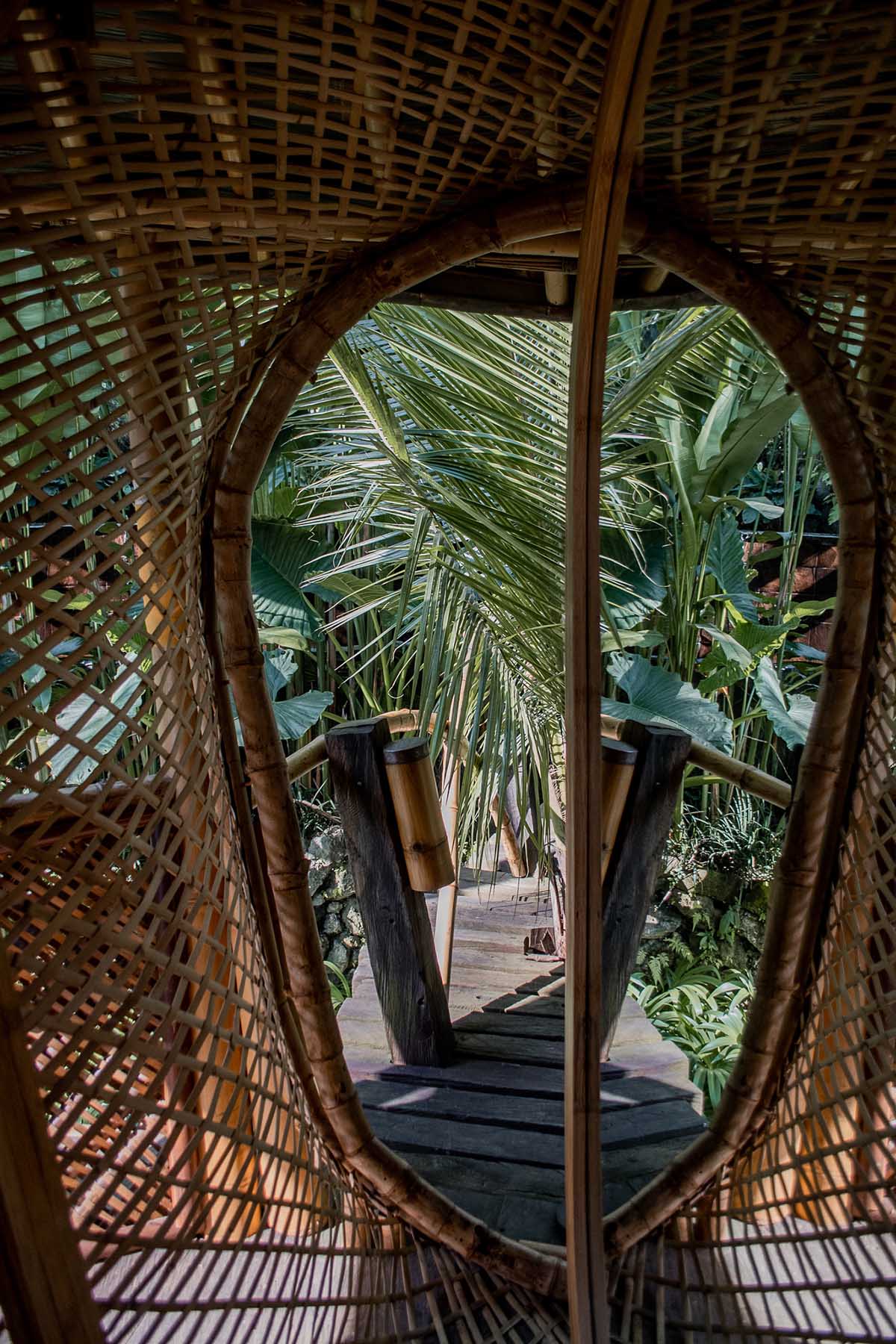 undulating bamboo canopy tops oval teahouse by pablo luna within lush  jungle in bali