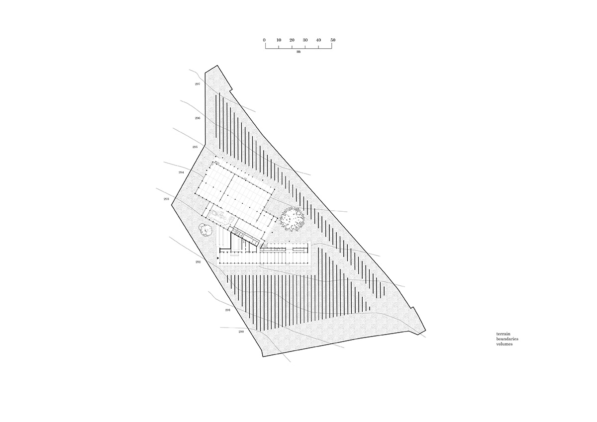 CHYBIK + KRISTOF's new winery building mimics the rhythm of the vine rows in Czech Republic