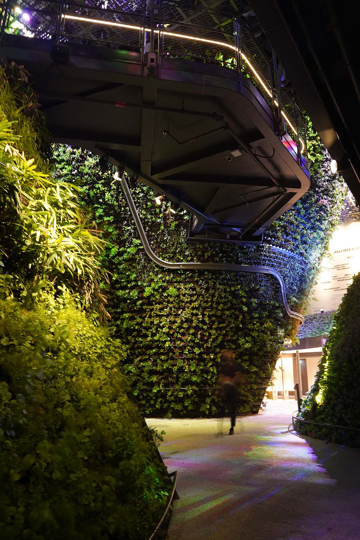 A city in nature: Singapore Pavilion presents Nature. Nurture. Future at Expo 2020 Dubai