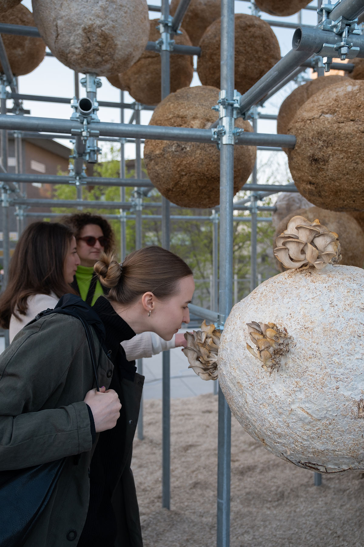 Henning Larsen unfolds the potential of mycelium with 80 spheres at Milan Design Week