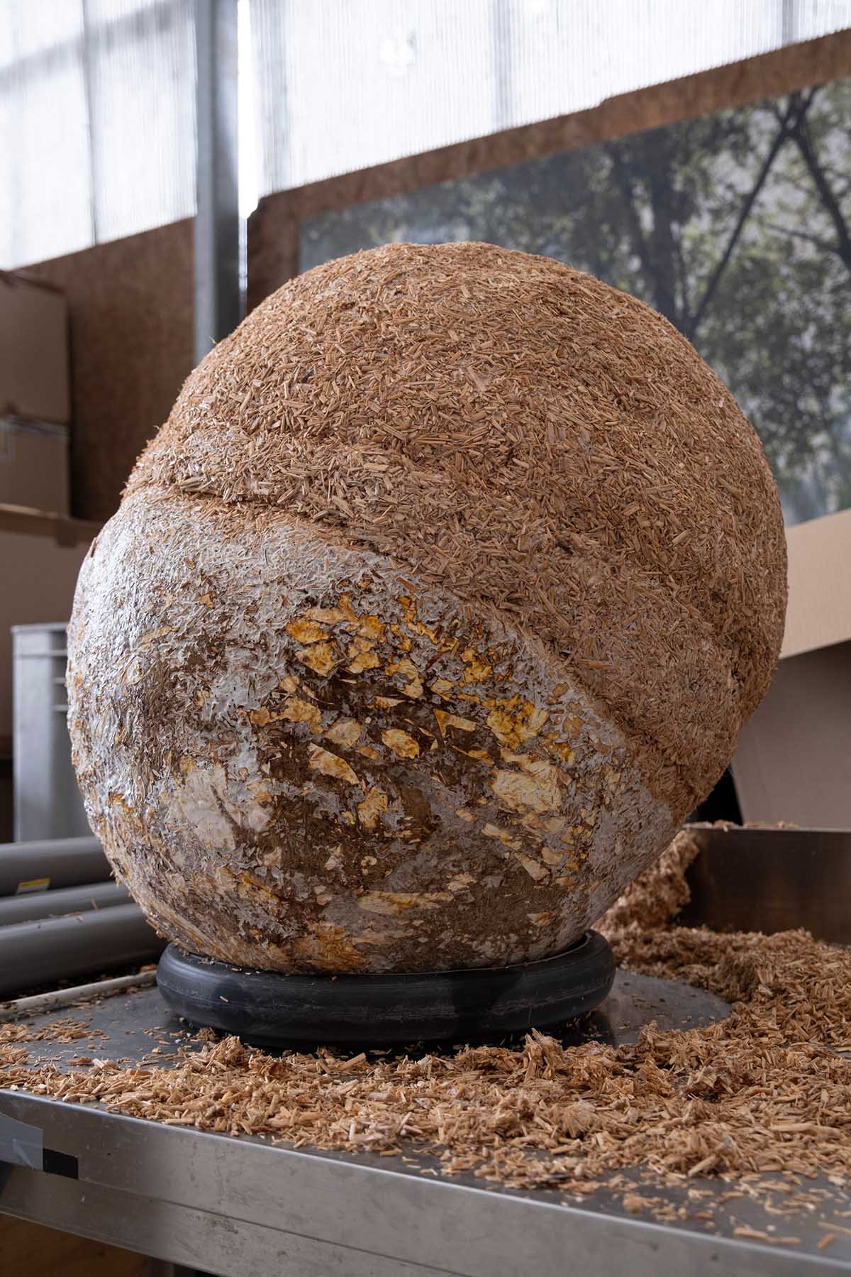 Henning Larsen unfolds the potential of mycelium with 80 spheres at Milan Design Week