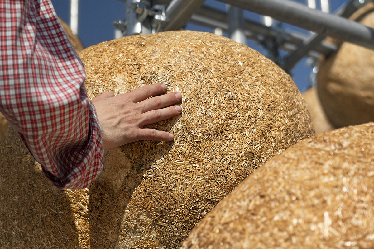 Henning Larsen unfolds the potential of mycelium with 80 spheres at Milan Design Week