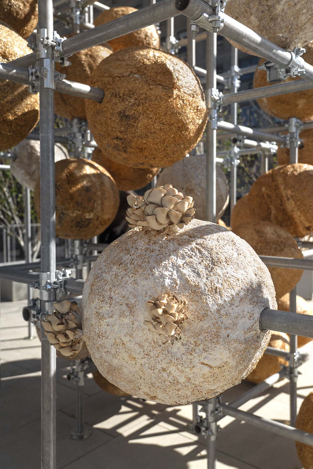 Henning Larsen unfolds the potential of mycelium with 80 spheres at Milan Design Week