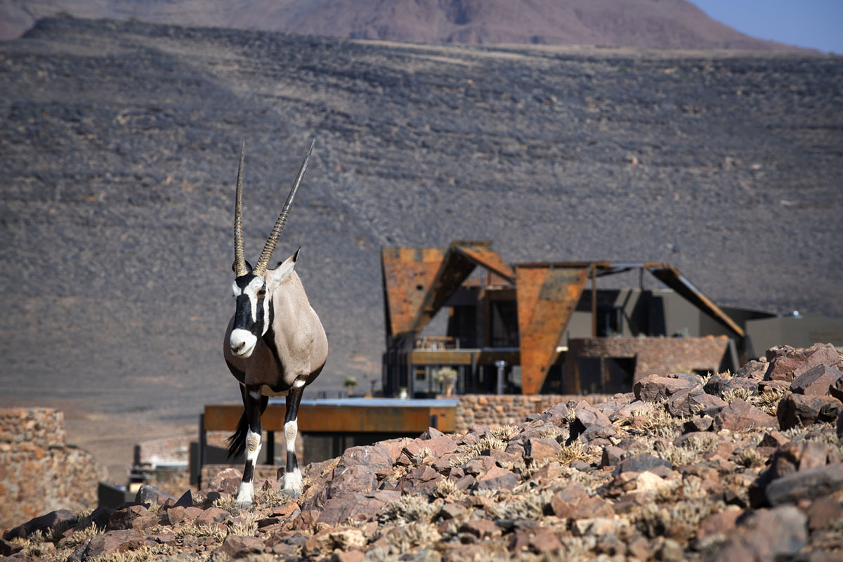 Fox Browne Creative and Jack Alexander design pavilion-like steel lodges on a desert of Namibia