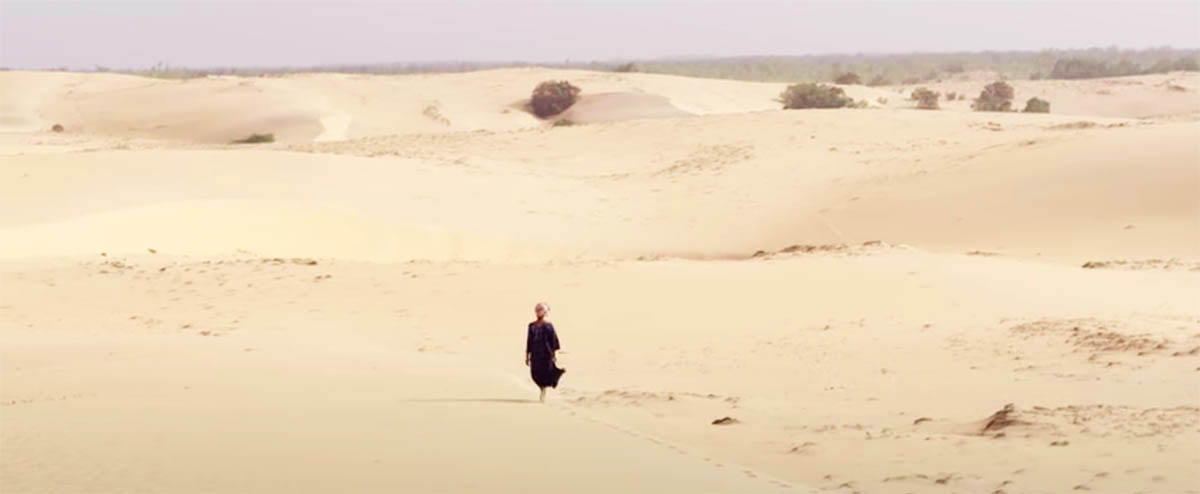 Africa plans 8,000-km-long Great Green Wall that will be 