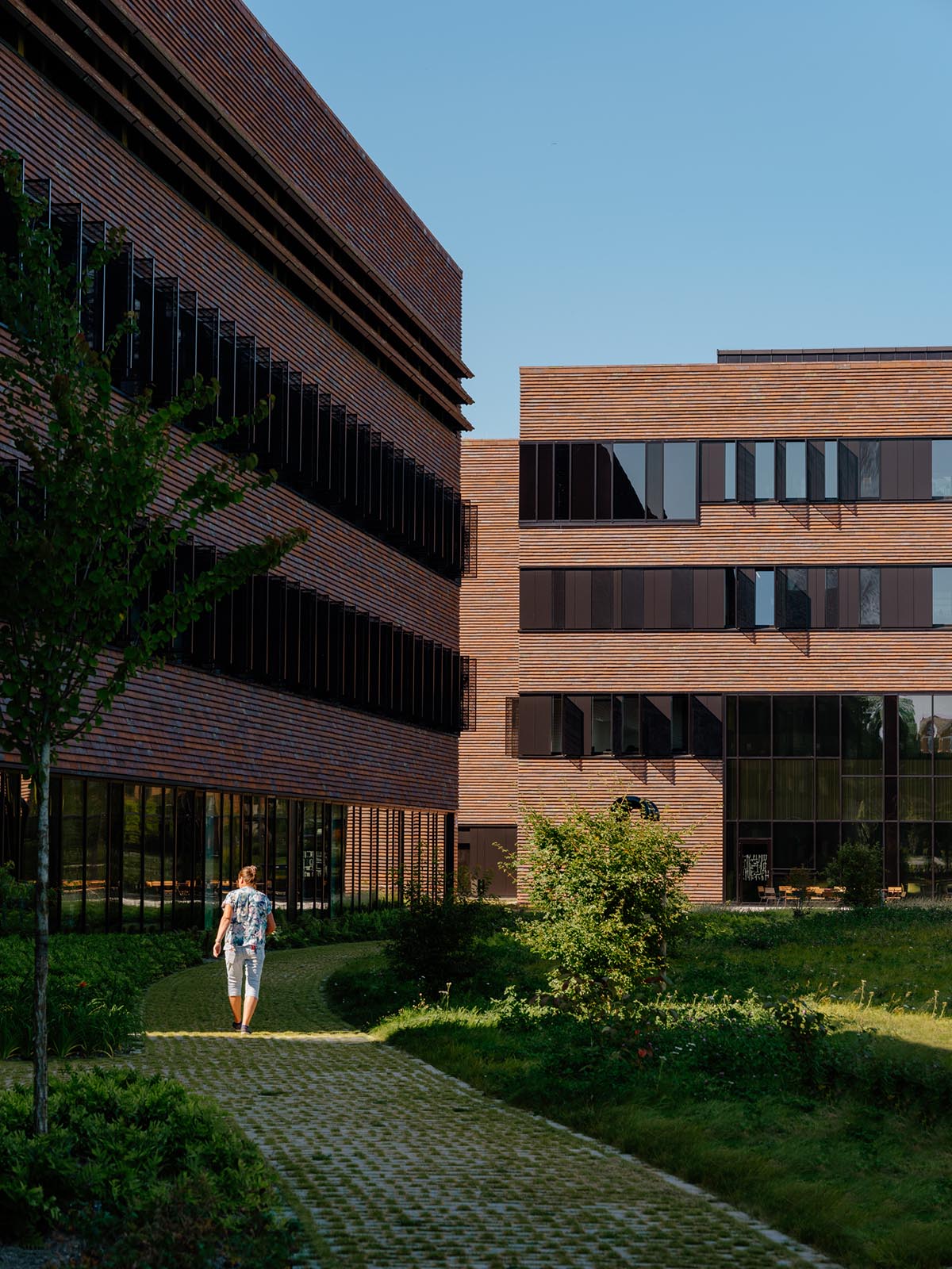 Henning Larsen and Fabel Arkitekter design Norway's one of largest veterinary buildings at NMBU