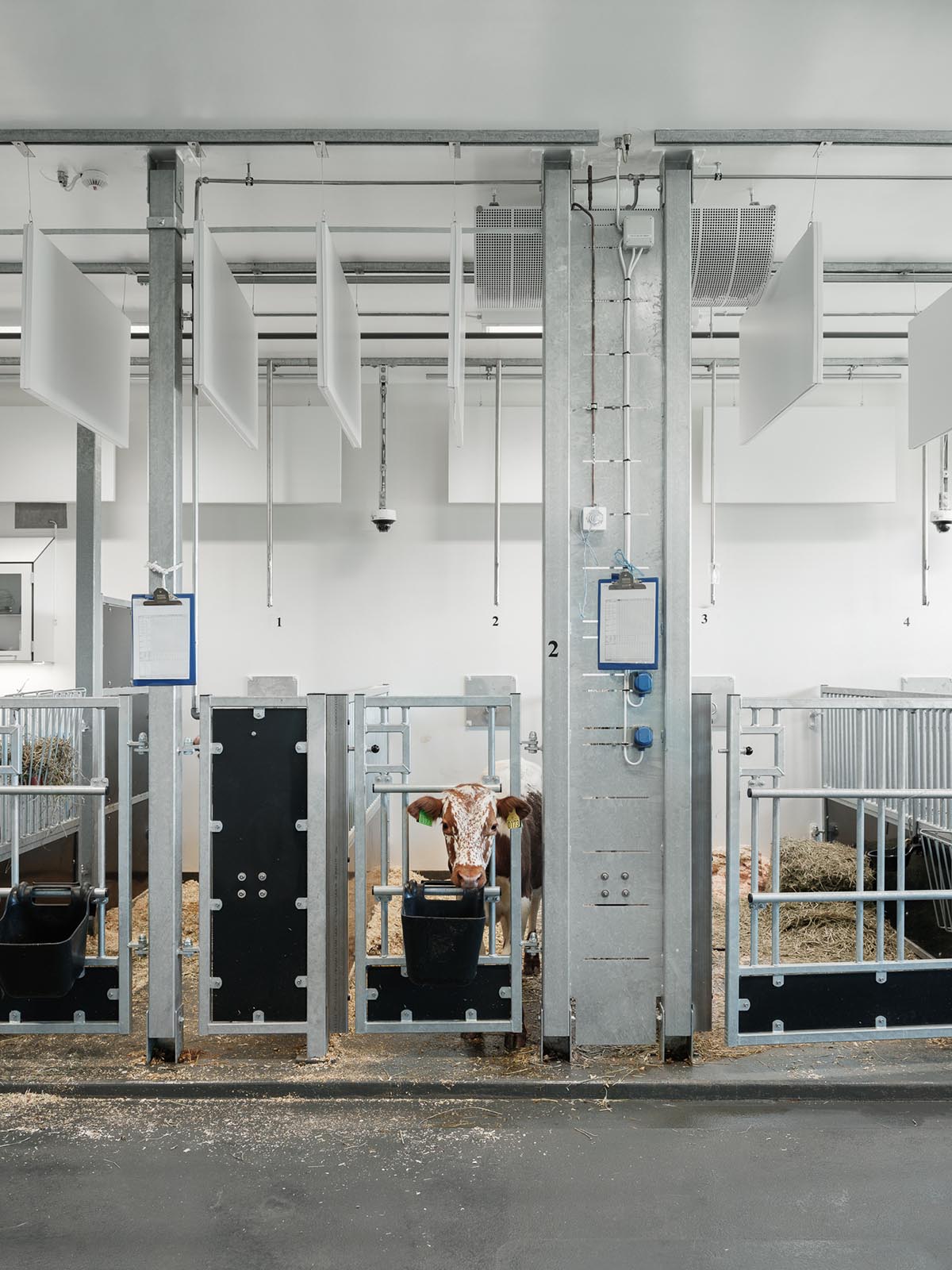 Henning Larsen and Fabel Arkitekter design Norway's one of largest veterinary buildings at NMBU