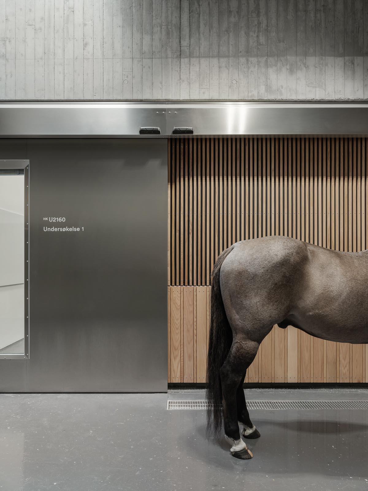 Henning Larsen and Fabel Arkitekter design Norway's one of largest veterinary buildings at NMBU