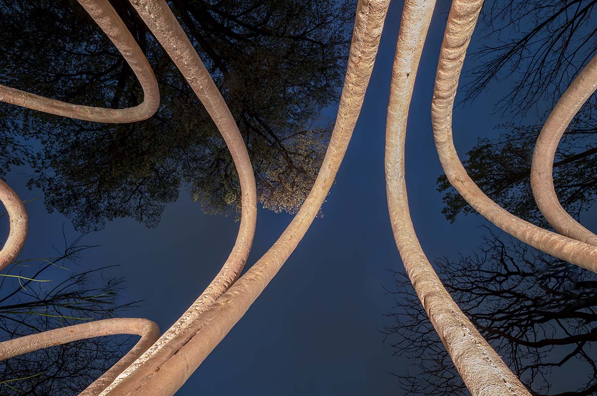 Carlo Ratti Associati created