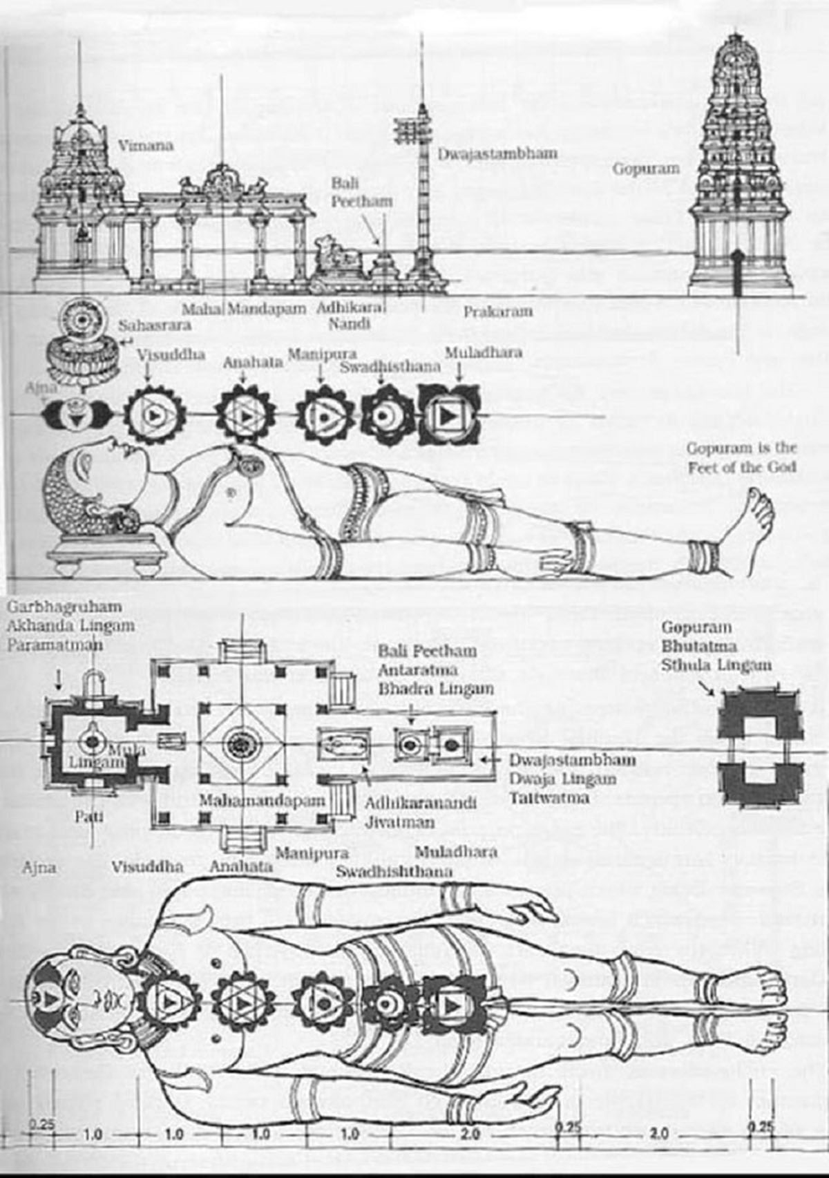 PDF) Transfoming Philosophies into Architecture