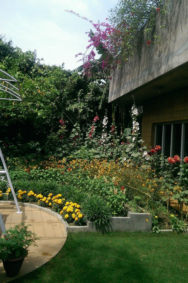 Form Follows Sun, Space & Verdure: Architect Dalbir Singh's Own House At Amritsar