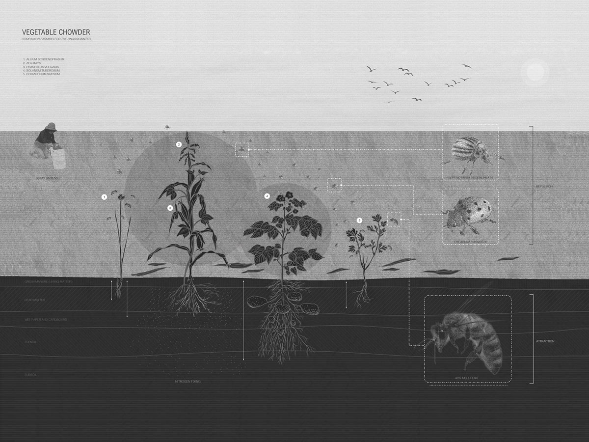 Tallinn Architecture Biennale launches FUTURE FOOD DEAL Open Call