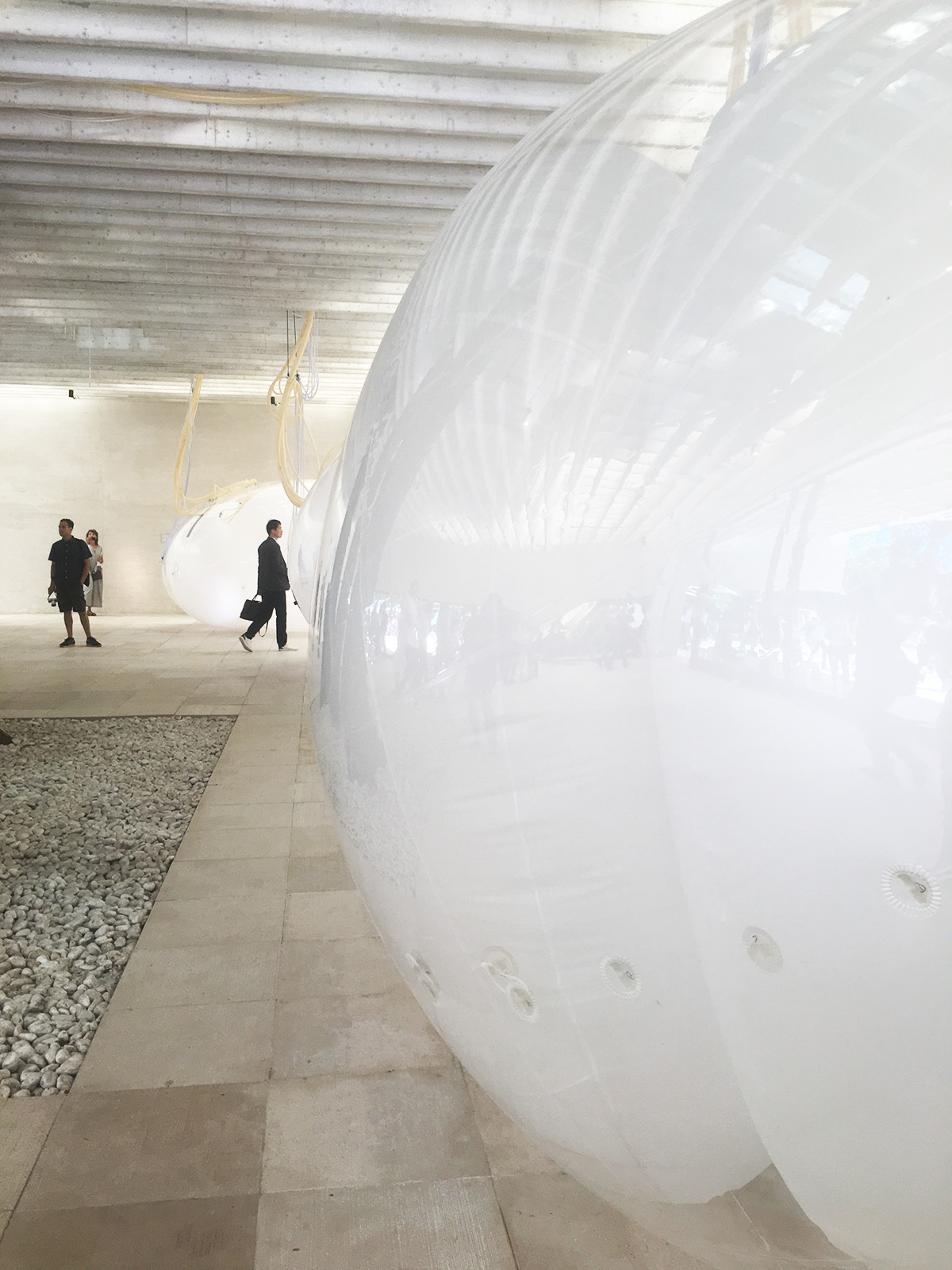 Nordic Pavilion showcases symbiotic relationship with Another Generosity at Venice Biennale