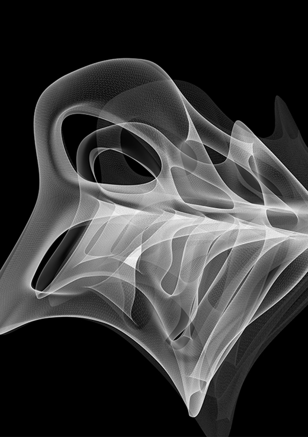 AA Visiting School's