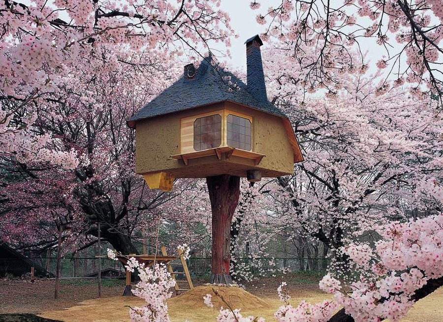 Smaller Japanese House with whool cherry blossoms on top of hill