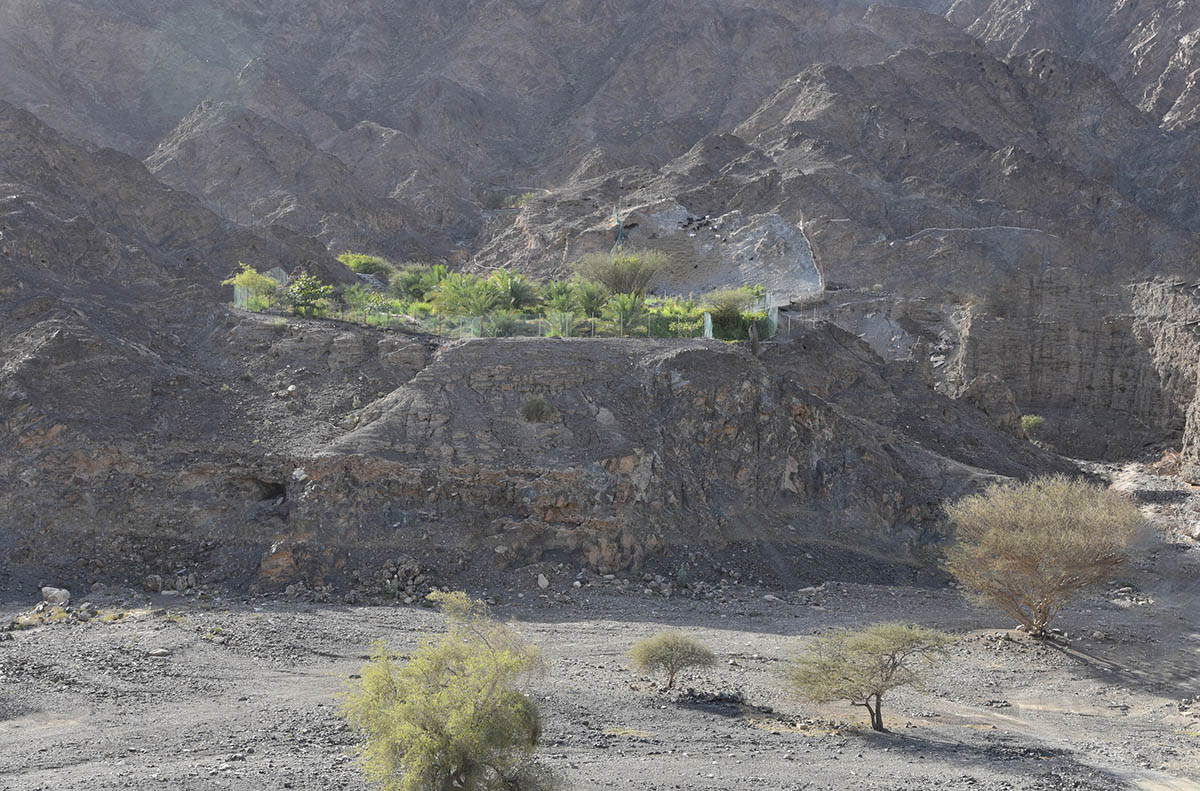 Faysal Tabbarah to curate the National Pavilion of UAE at Venice Architecture Biennale 2023