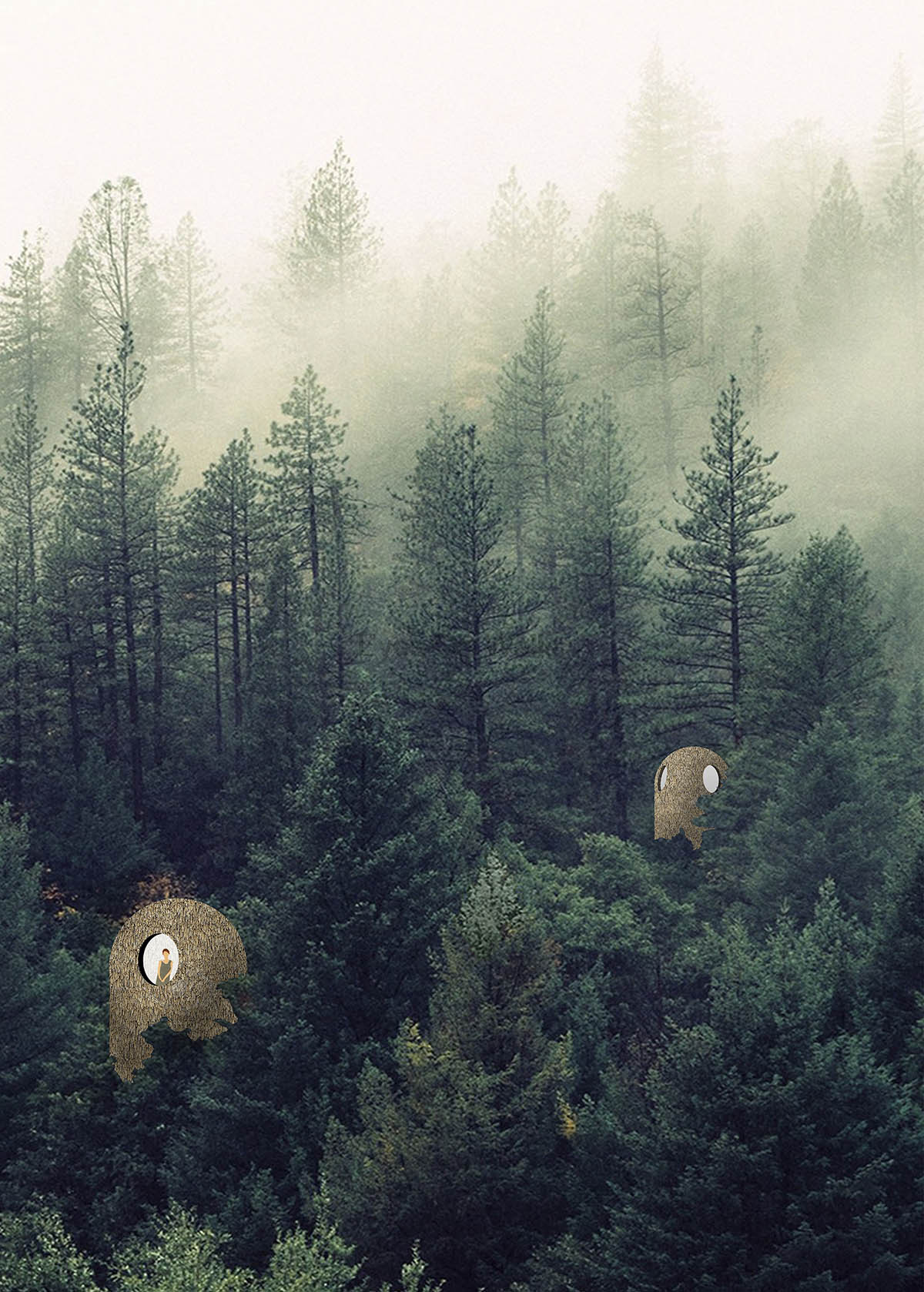 Bee Breeders Announces Winners For Silent Meditation Forest Cabins competition