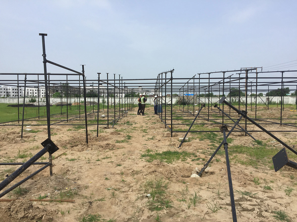 A Pulse in the Nebula