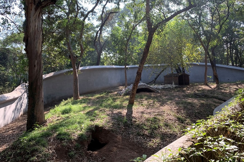 Organically Designed In A Natural Forest, Chhatbir Zoo Near Chandigarh Attracts Massive Footfall