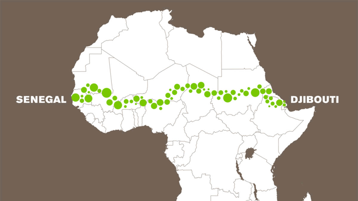 Africa plans 8,000-km-long Great Green Wall that will be 