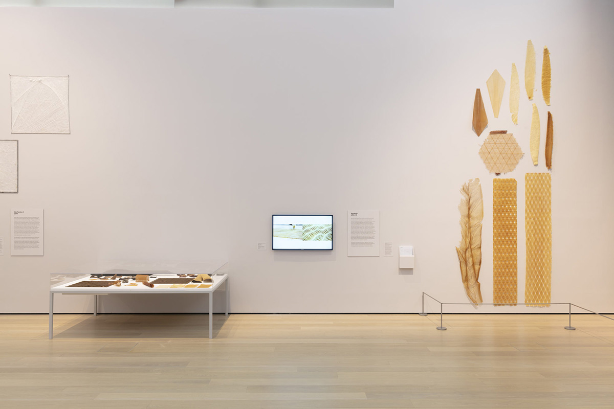 Neri Oxman opens up her material library and processes with Material Ecology exhibition at MoMA