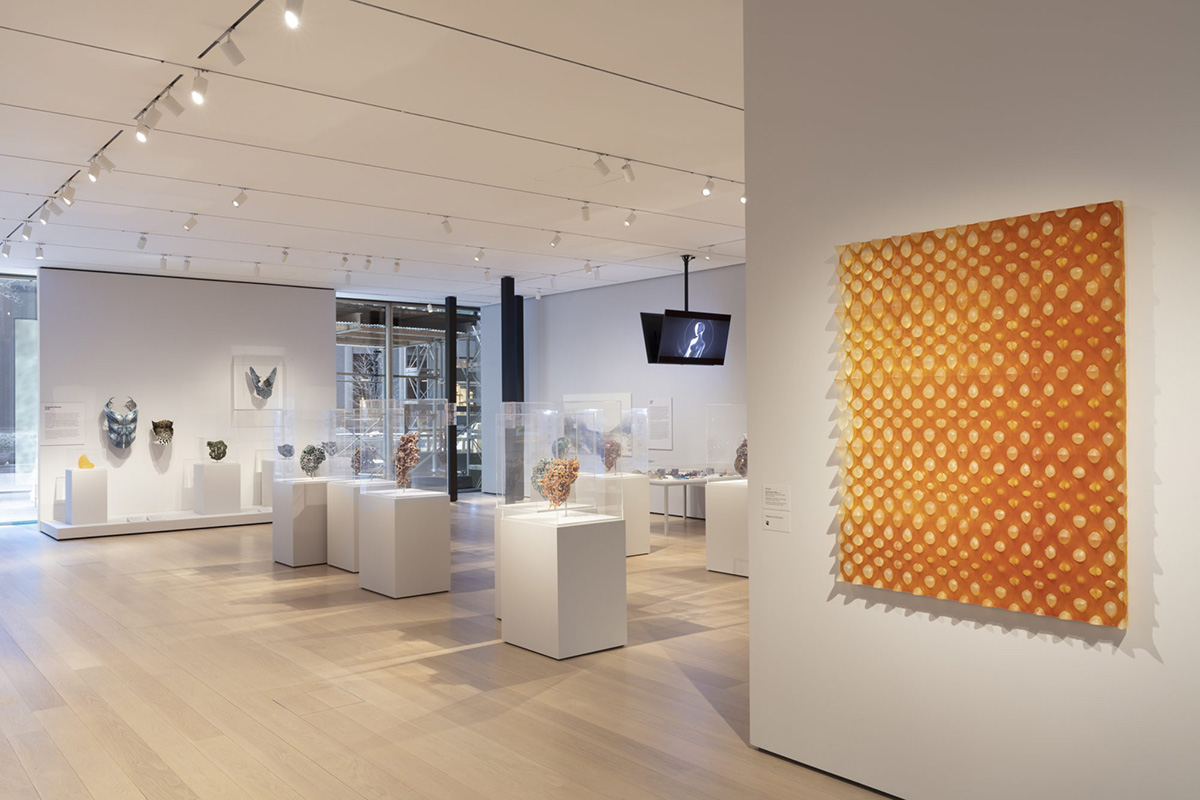 Neri Oxman opens up her material library and processes with Material Ecology exhibition at MoMA