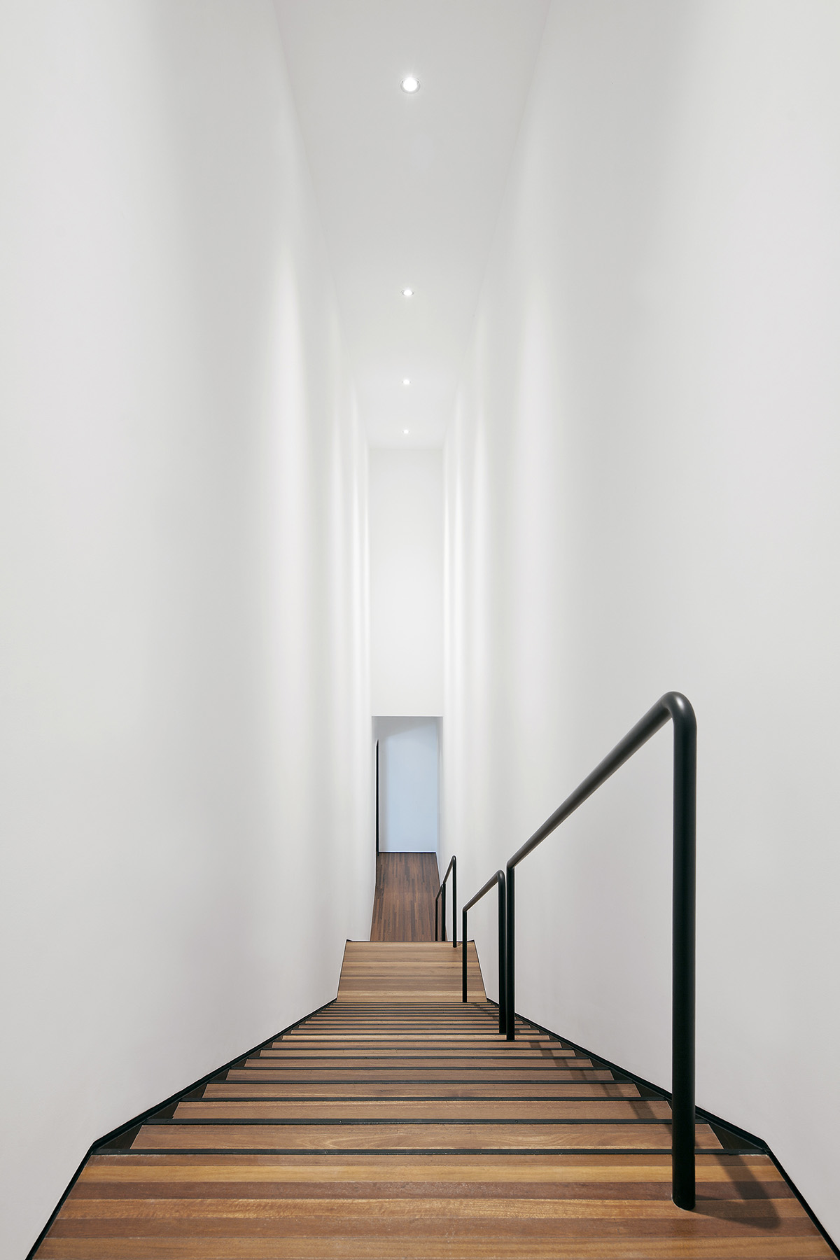 Vermilion Zhou Design Group In China Created An Art Museum That Has 199 Pine Trees