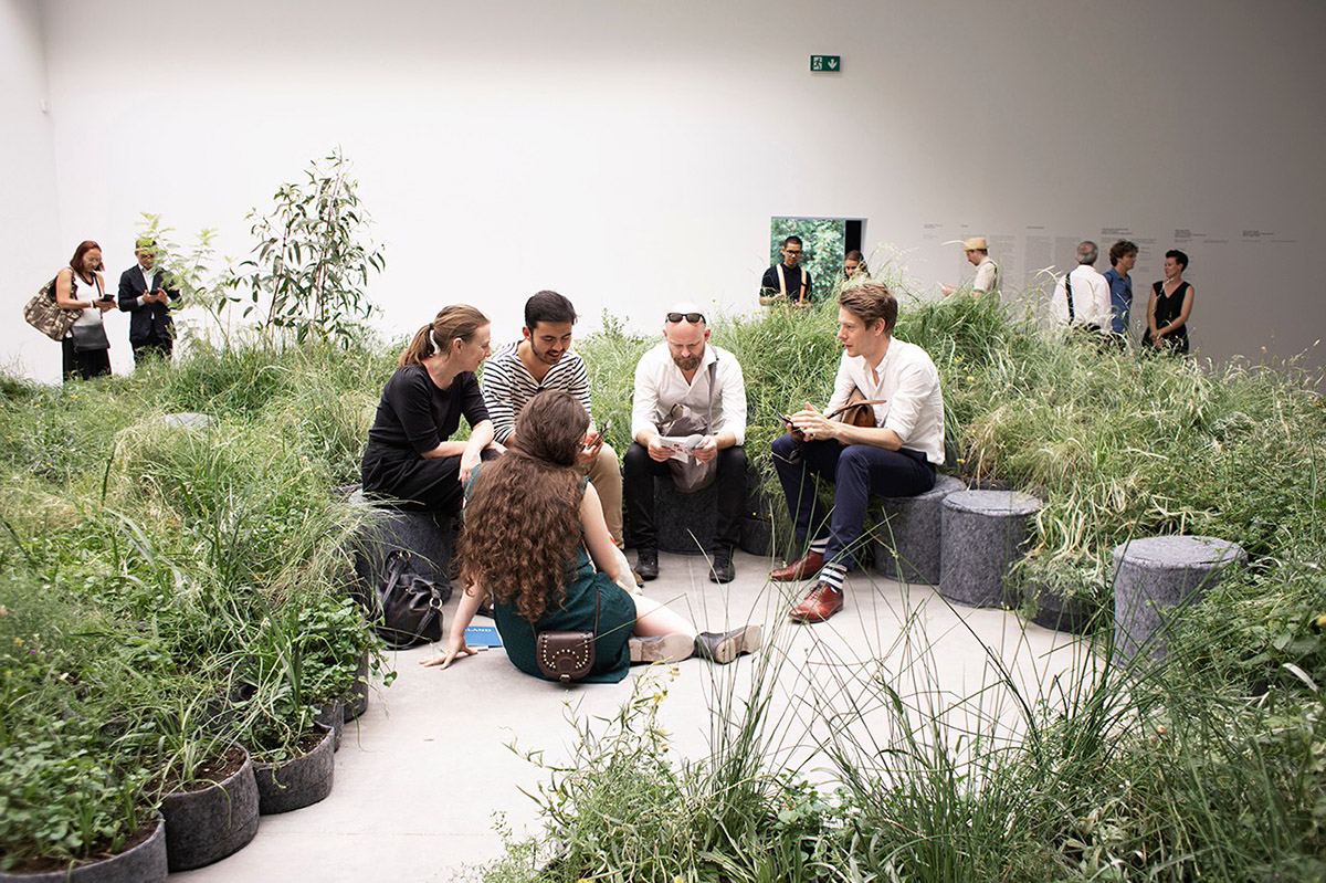 Australia Pavilion's green island addresses to the repair of grasslands at Venice Biennale