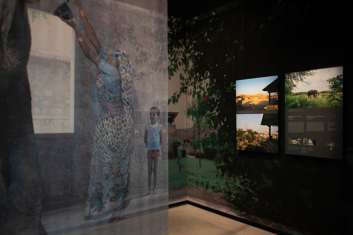 Eduardo Souto de Moura and Swiss Pavilion win Golden Lions at Venice Architecture Biennale