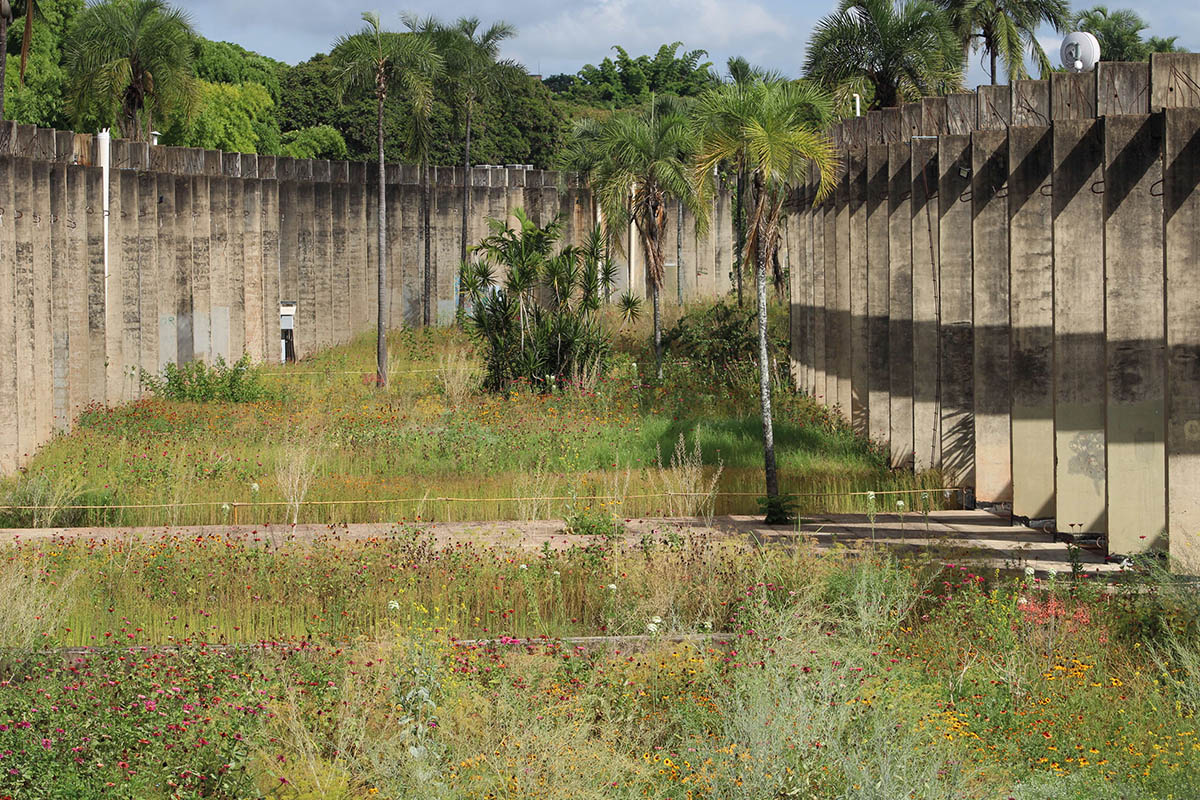 Brazil Pavilion will explore the relationship between architecture and infrastructure in Venice