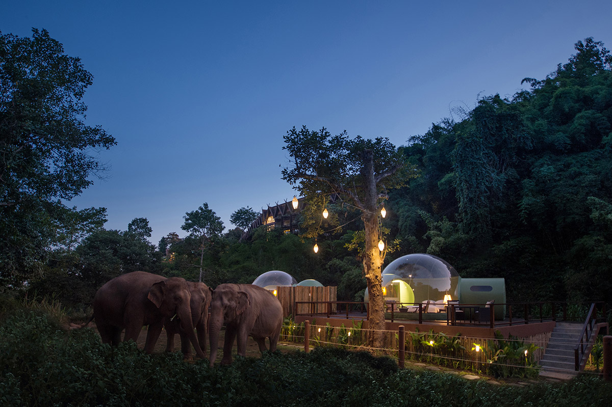 Bubble Resort provides opportunity to observe Thailand’s majestic elephants in their natural habitat