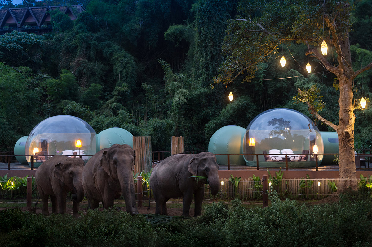 Bubble Resort Provides Opportunity To Observe Thailands Majestic