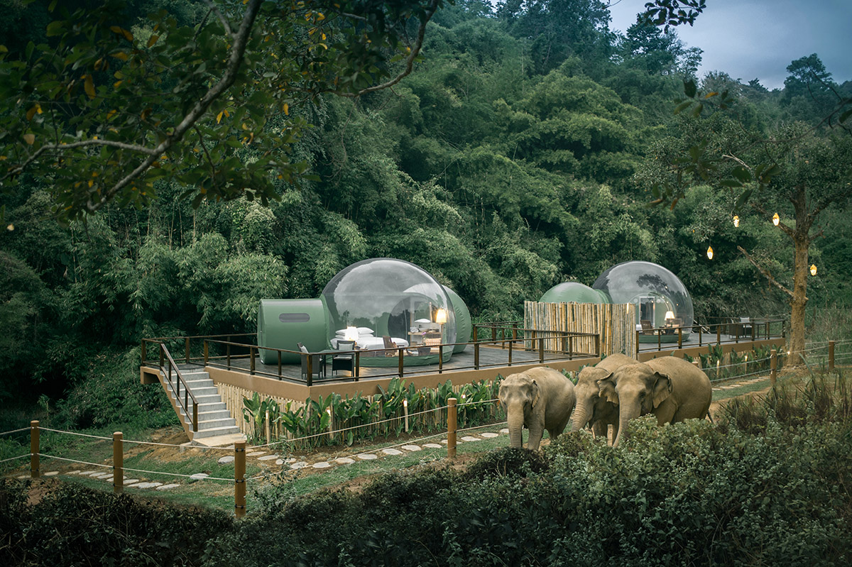 Bubble Resort provides opportunity to observe Thailand’s majestic elephants in their natural habitat