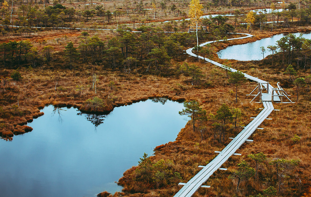 Call for submissions to design a new observation tower in Latvia’s National Park