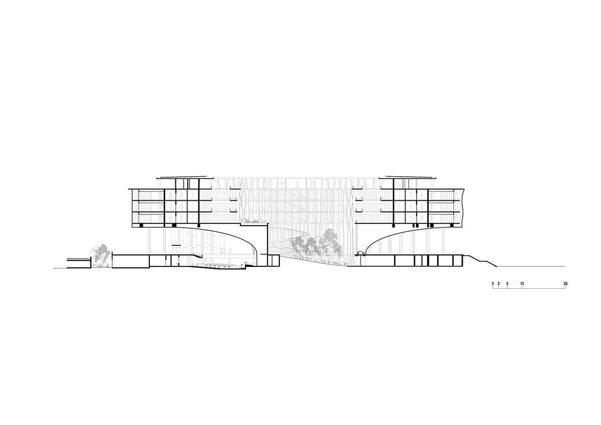 Kéré Architecture reveals design for Benin's National Assembly inspired by African palaver tree