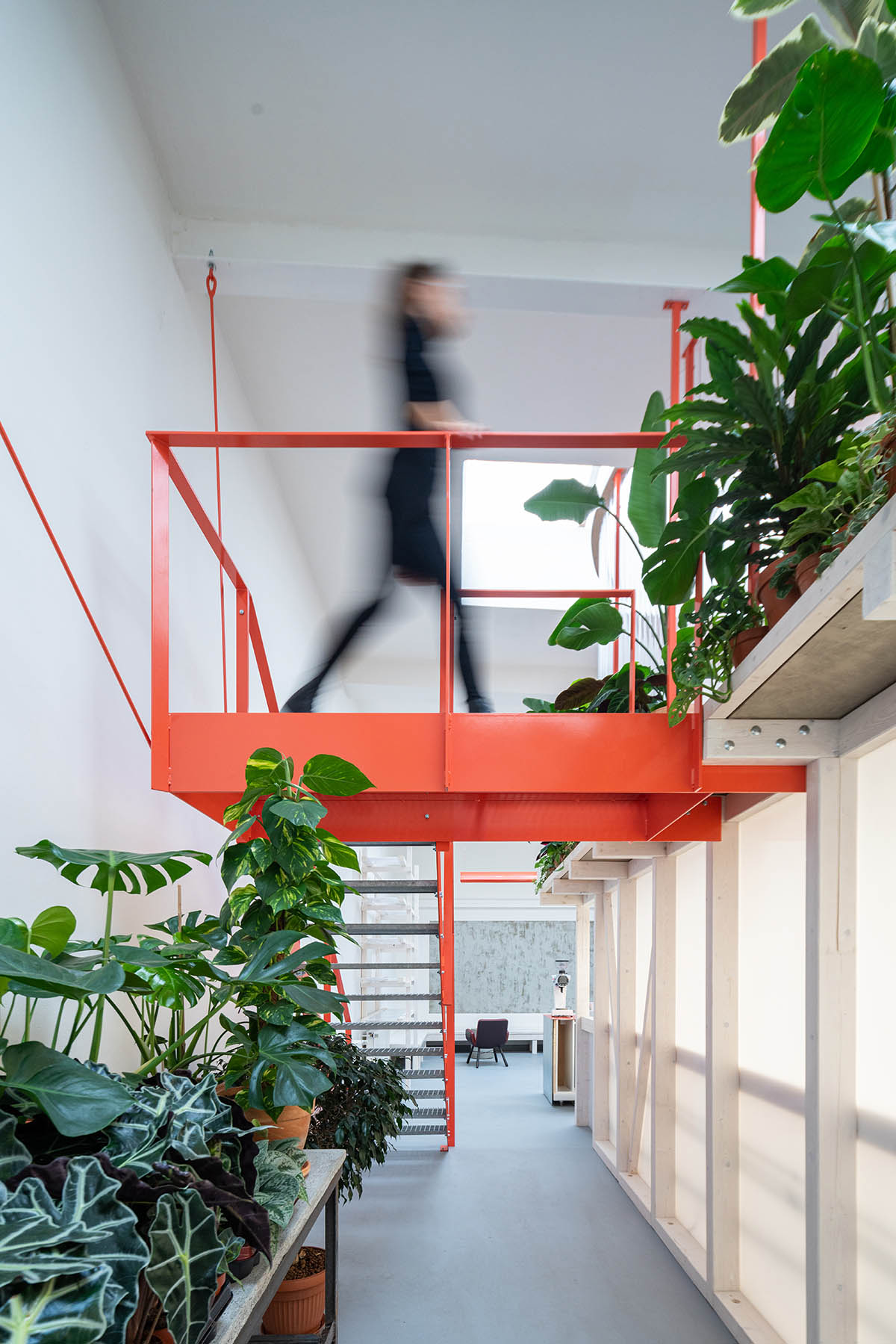 KOGAA crowns Prague's industrial coffee hub with additional working space filled with loop of plants