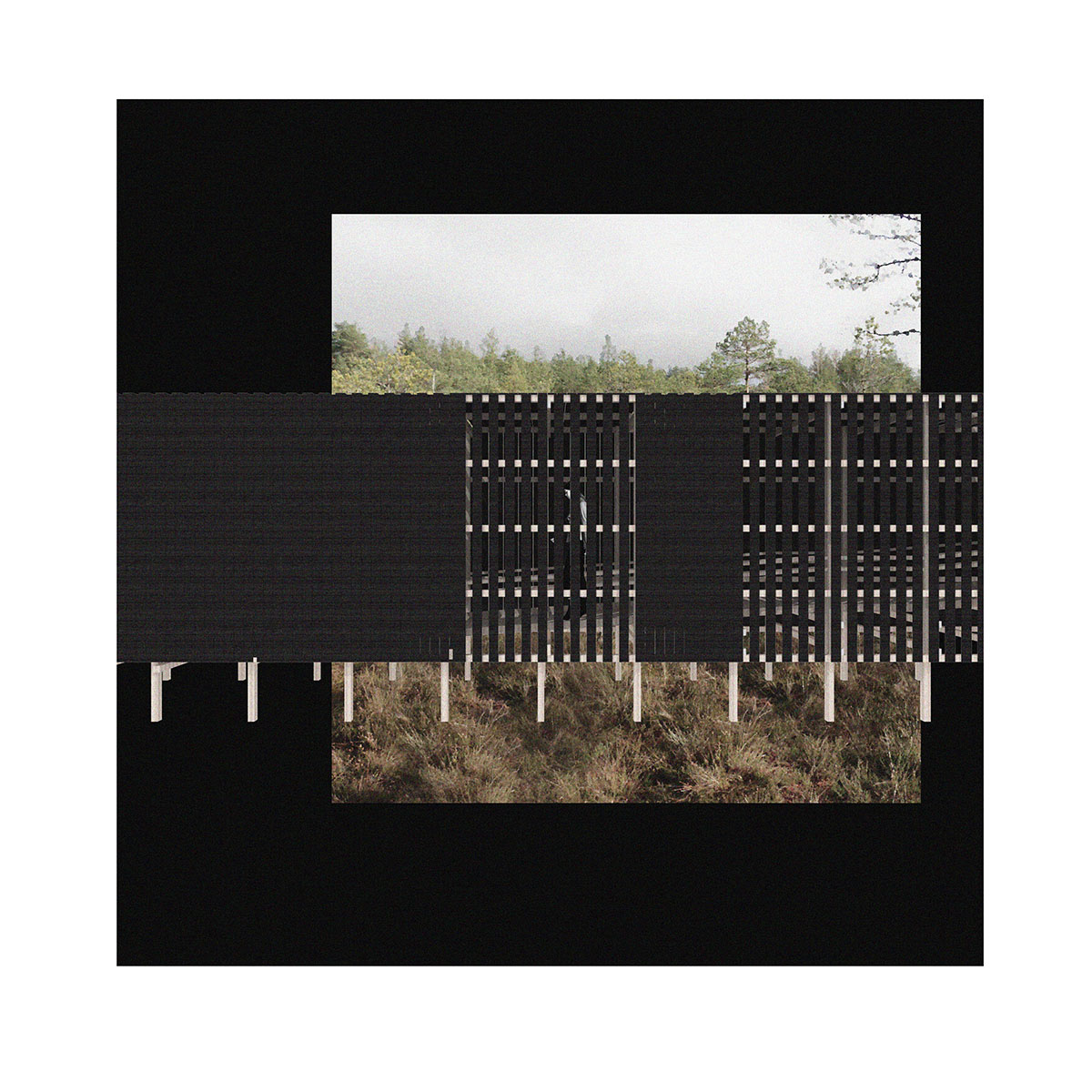 Winners Announced For Kemeri National Park Observation Tower Architecture Competition in Latvia