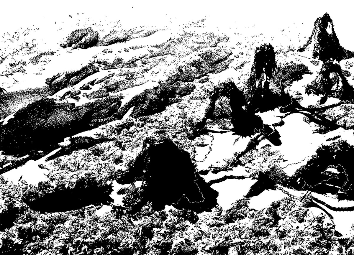 Icelandic Pavilion will present