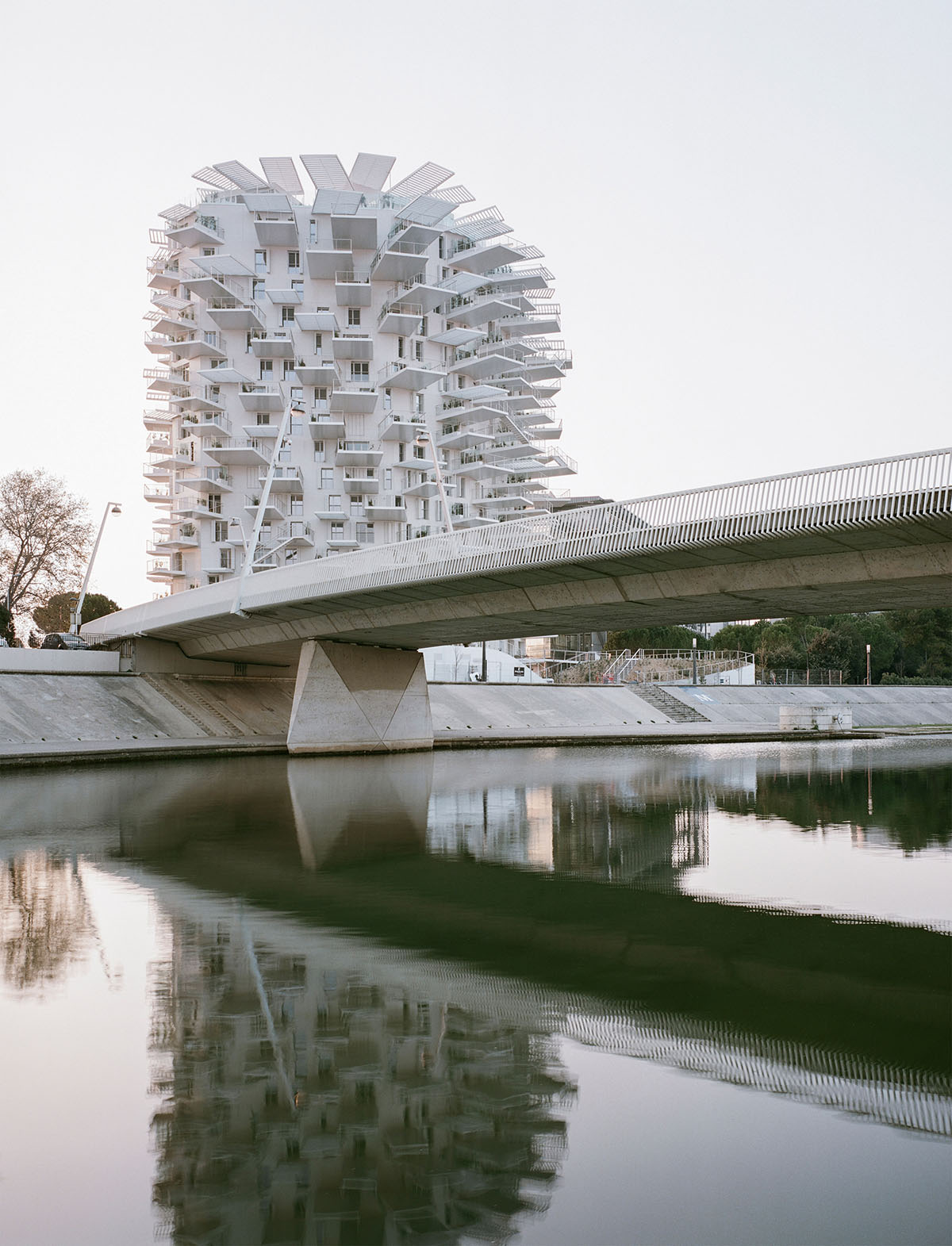 Sou Fujimoto built a tree-like residential tower with protruding balconies that branch off the trunk