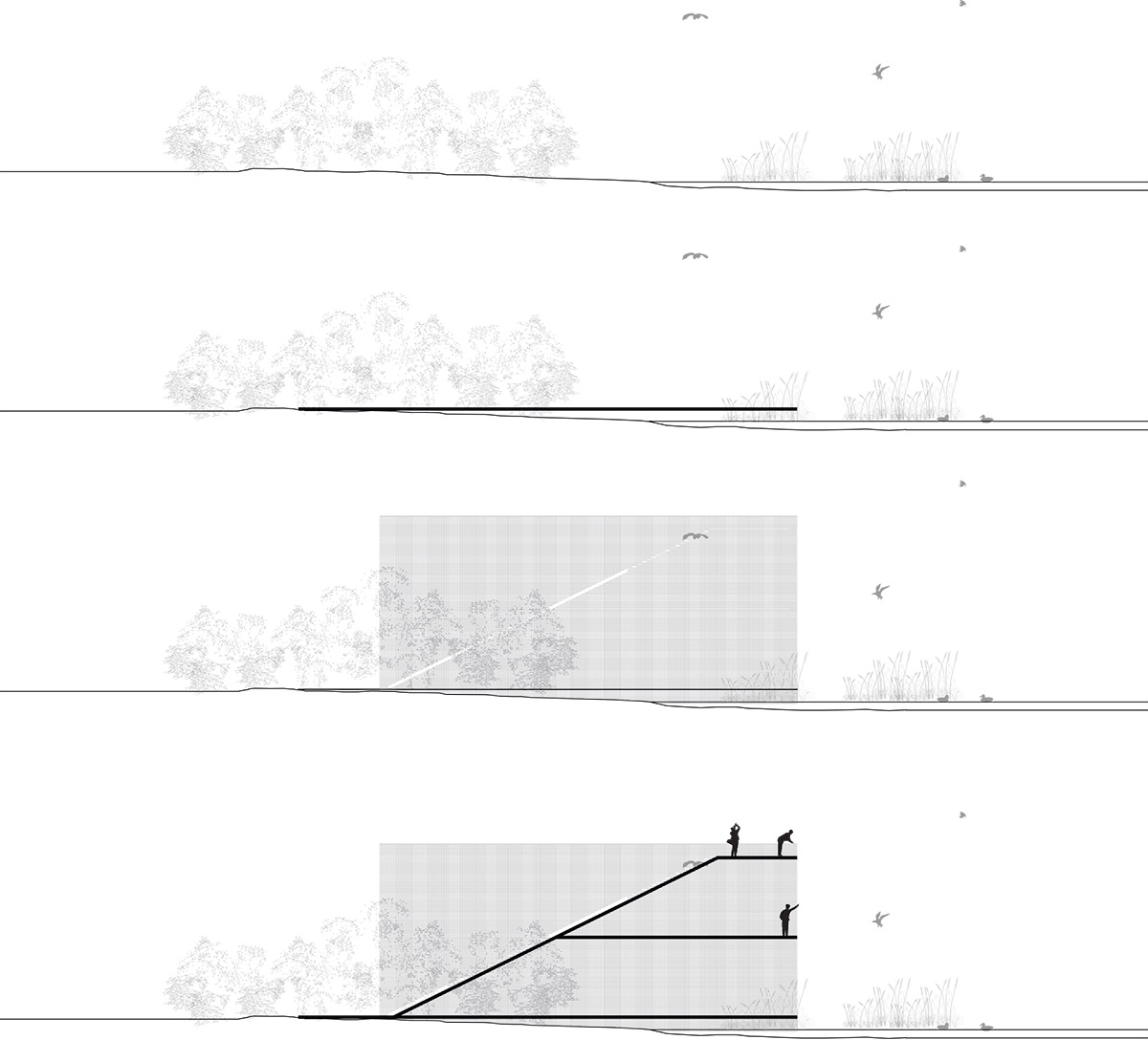 Pape Bird Observation Tower winners announced for Latvia's Pape Nature Park