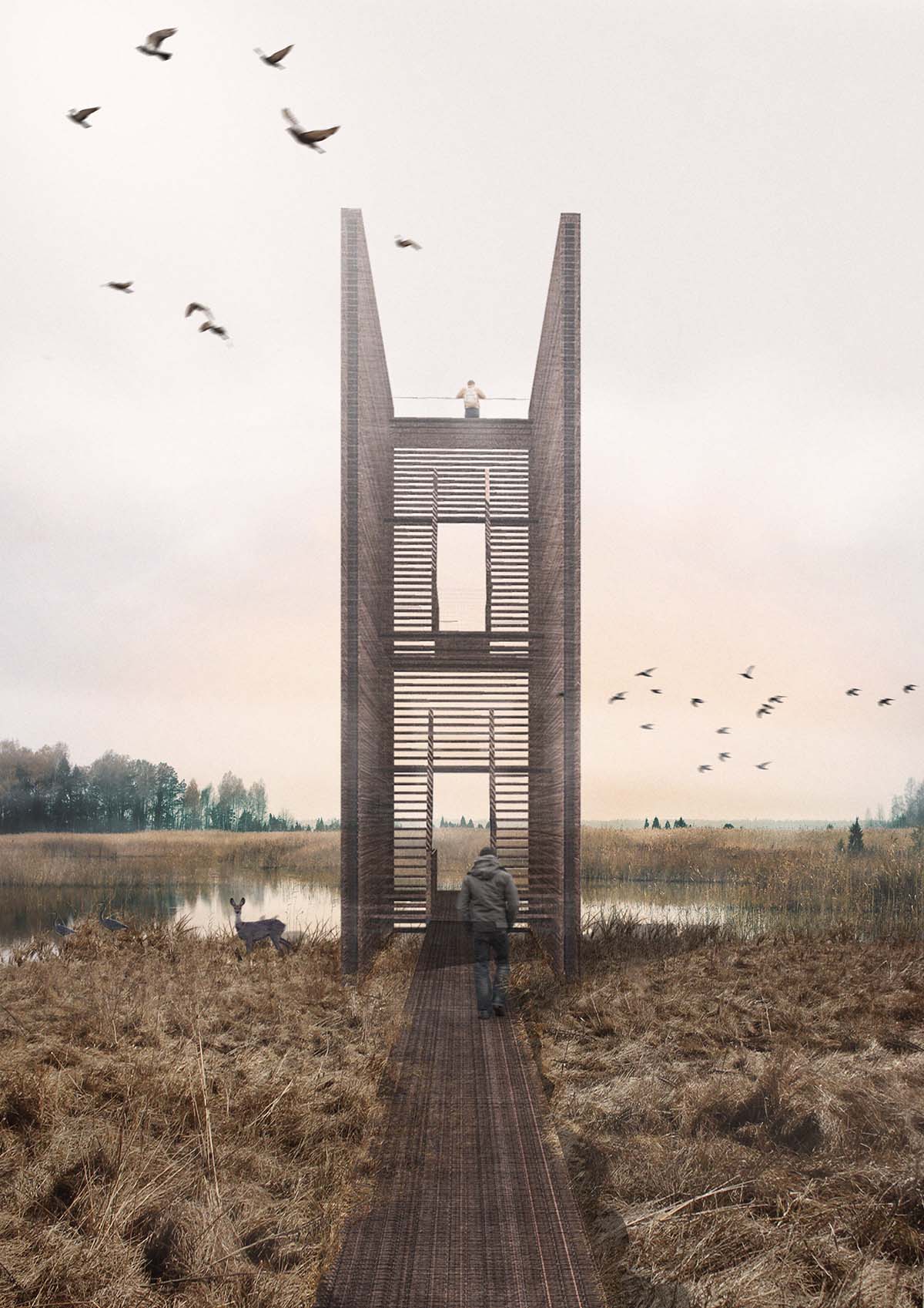 Pape Bird Observation Tower winners announced for Latvia's Pape Nature Park